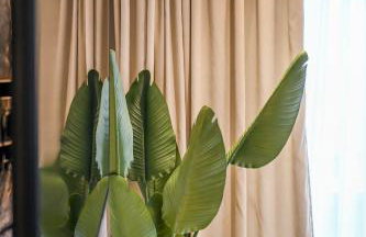 Aqua Lora - Photo 36