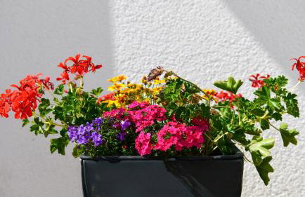 Apartman Katja - Foto 9