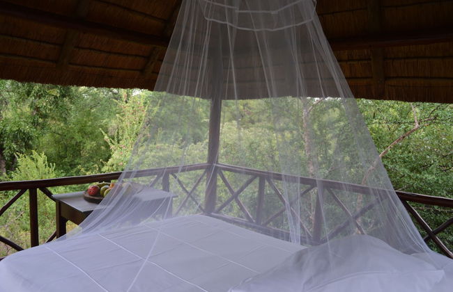 Lion Tree Bush Lodge - Foto 21