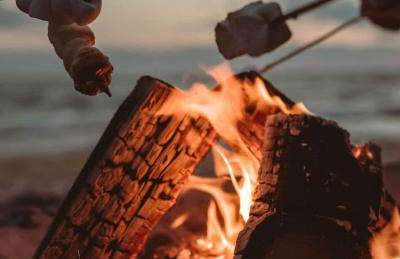 Pine and Sea Beach Retreat - Photo 16