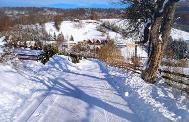 Bieszczadzkie Wzgórze Saunowe- Jacuzzi i Sauna w cenie pobytu - Foto 26