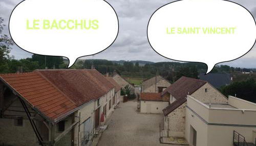 Le Bacchus - Foto 5