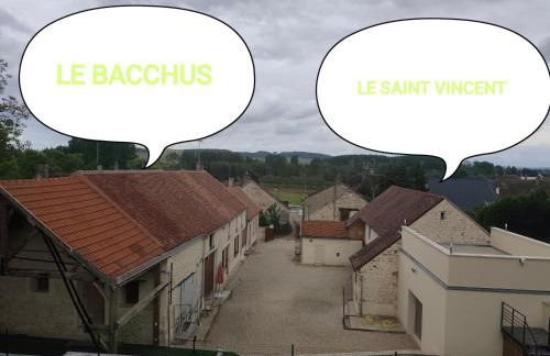 Le Bacchus - Foto 5