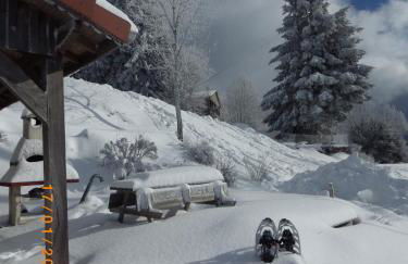 gites Les Bleuets - Foto 5