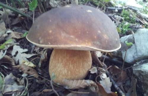 Casa vacanza zia Ersilia - Foto 47