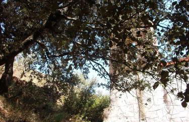 Las Casitas del Bodegon - Foto 41