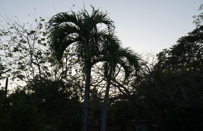 Cote Pacific Casitas - Photo 42