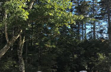 Shackmatack - Foto 9