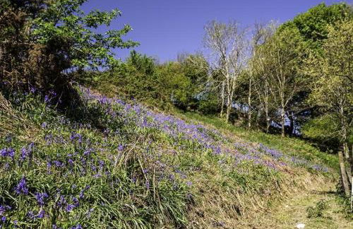 Valley View Farm Annexe - Foto 11