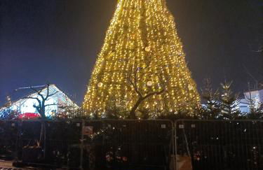 T2 cabine avec très belle vue sur le port de plaisance - Foto 46