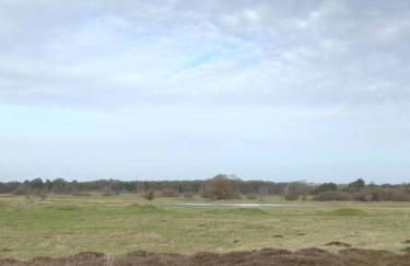 Suffolk View Apartment - Foto 3