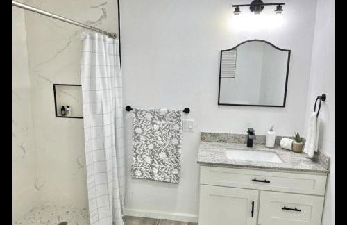 Downtown McAllen - sleeps 10! - Foto 10