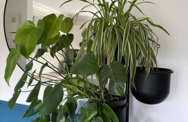 Au Cœur de la Nature, idéalement placé Paris - Foto 16