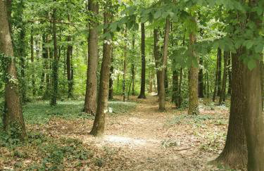 Zagorski San - Foto 71