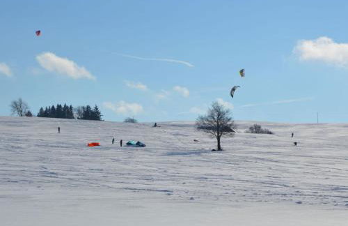 Ferienhof Schonmetzler - Foto 26