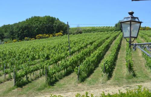 Tenuta Pizzogallo - Foto 39