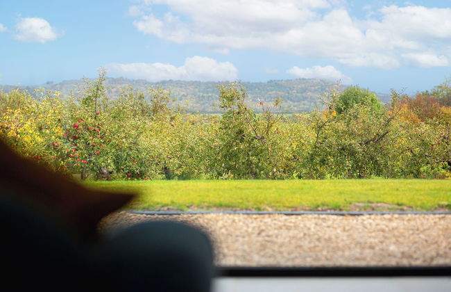 Orchard Barn-Luxury 4 BD Barn Conversion - Foto 59