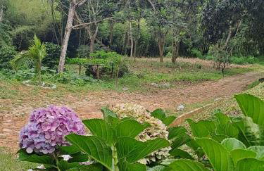 Paraíso no coração de Guaramiranga - Foto 39