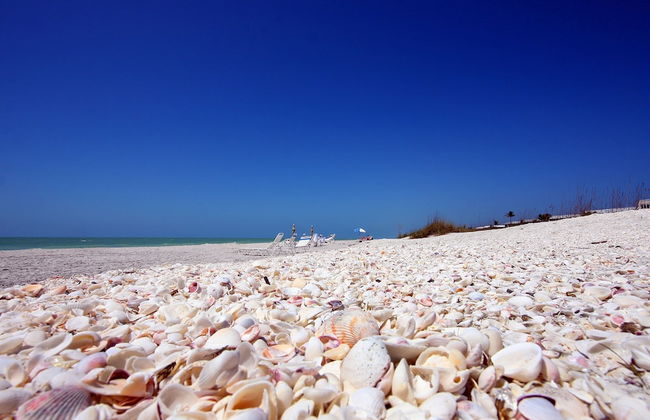 Island Inn - Photo 24