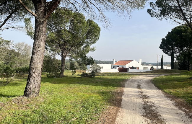 Fazenda do Pomar - Foto 63