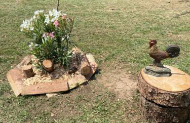 La Laubessa - Foto 15