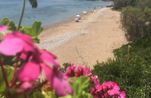 Village Holidays - Chelonaria - Foto 34