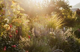 Staudingerhof - Photo 23