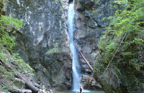 Ferienhaus Alp Chalet - Foto 3