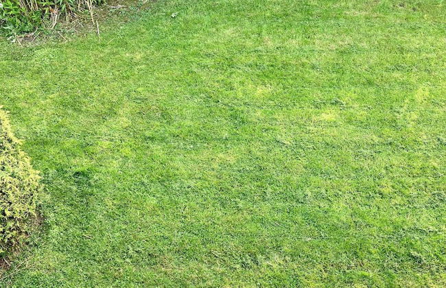 Holiday Home Urlaubsruhe 6 p Near Lake Lauwersmeer - no Pets - Foto 30