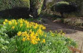 Gîte authentique près Zoo de Beauval et Châteaux - Photo 31