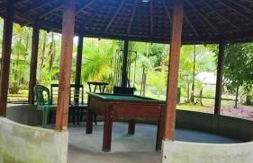 Chácara Bela Vista - Photo 10