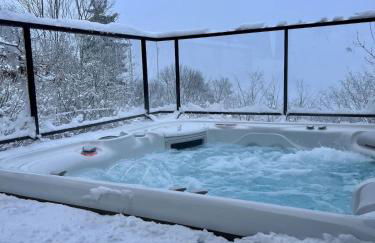 L'Avancée Chalet contemporain au coeur du Sancy AUVERGNE - Foto 22