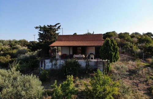 Real Holidays Antoniadou - Rustic House - Foto 55