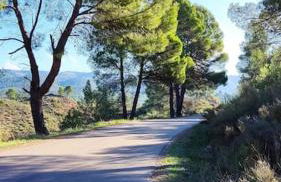 Casa De Madera, A home from home. - Foto 44