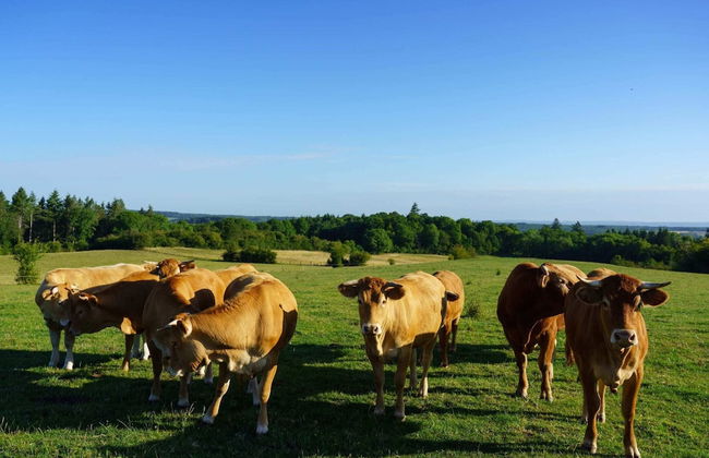 Peaceful Holiday Home - Foto 65