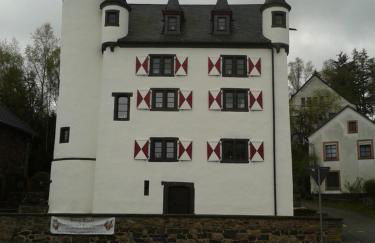 Eifeler Finnhaus mit Sauna, Mühlenberg 13 - Foto 45