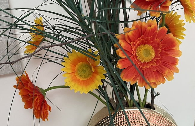 Le Relais de la Chouette Gîte - Photo 6