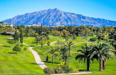 Noctua Estepona Paraiso 017 - Photo 19