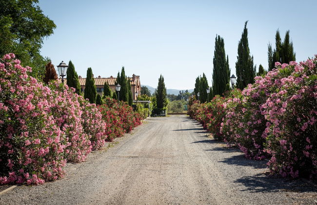 Borgo Verde - Foto 30