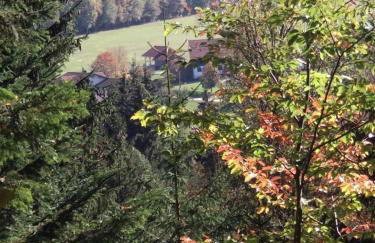 Ferienwohnung Waldhauser - Foto 13