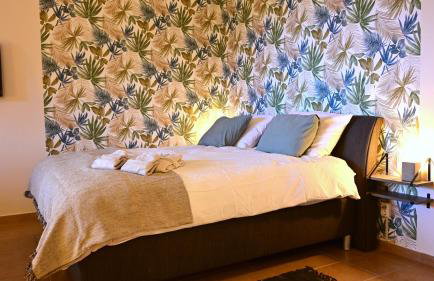 The Olive Tree - Photo 14