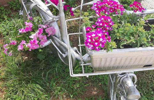 Apartments Kaić 1045 - Photo 41