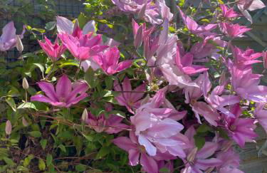 A Wee Cottage In Dunfermline - Foto 33