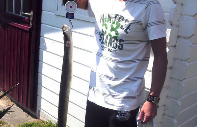 6 Pers - Chalet Emma Located at the Lauwersmeer With own Fishing Pier - Foto 19