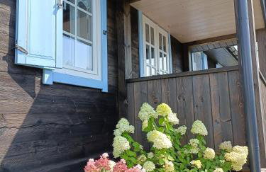 Siedlisko Brzozowe - Foto 21