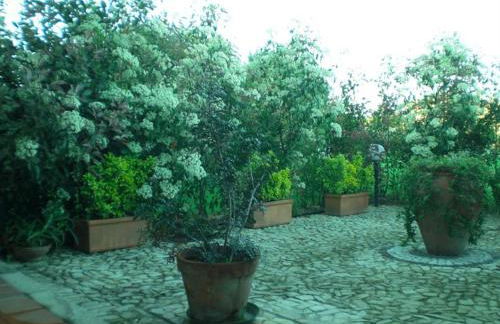 Villa Raffaello - Photo 20