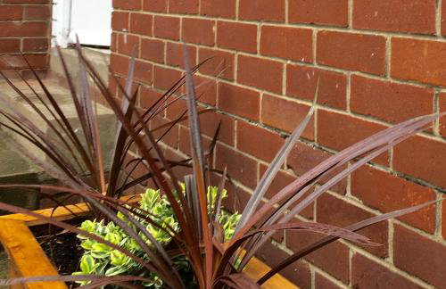 Apartment 61 - Foto 3