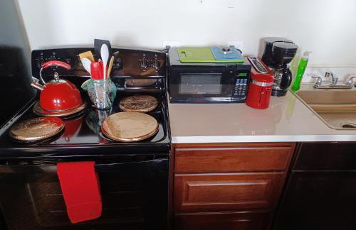 Detroit Riverwalk Loft - Foto 8