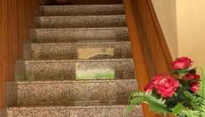 APTO RURAL FRAGARIA - VALLE DEL AMBROZ - entorno natural único "ALQUILER FAMILIAR" - Foto 4