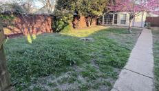 Delightful Downtown Frisco House - Foto 4